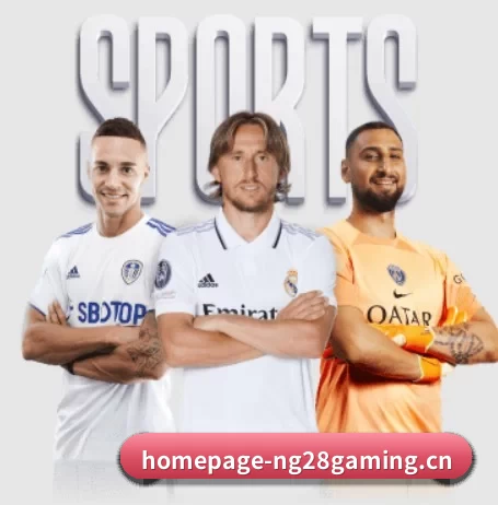 南宫28 APP（ng28）